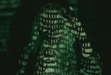 unexpected numerical identifier revealed
