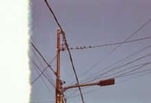 quick response support line