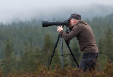 Capturing Nature Through Creative Experiences