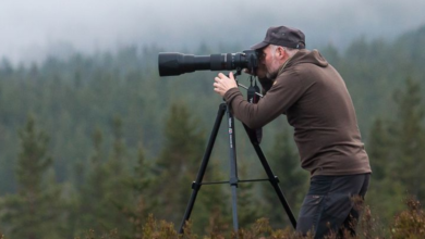 Capturing Nature Through Creative Experiences