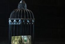 achieve financial freedom easily