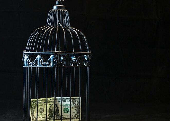 achieve financial freedom easily