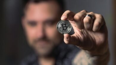 crypto investment future insights