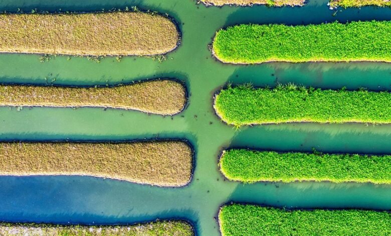 growing your youtube channel