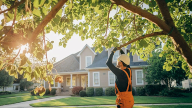 Essential Home Services to Keep Your Property Beautiful and Protected