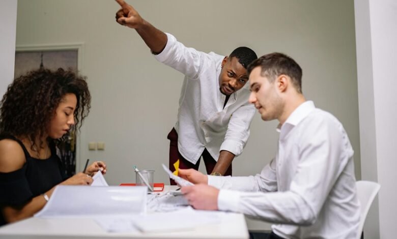 harmonicode team roles defined