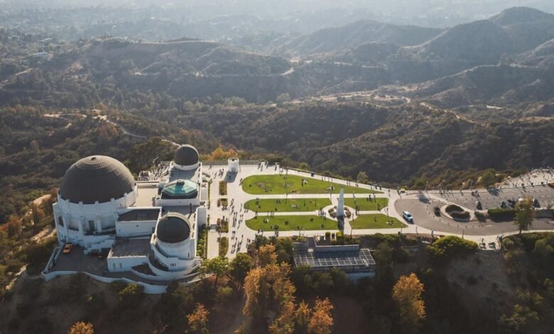 hollywood775 profile summary