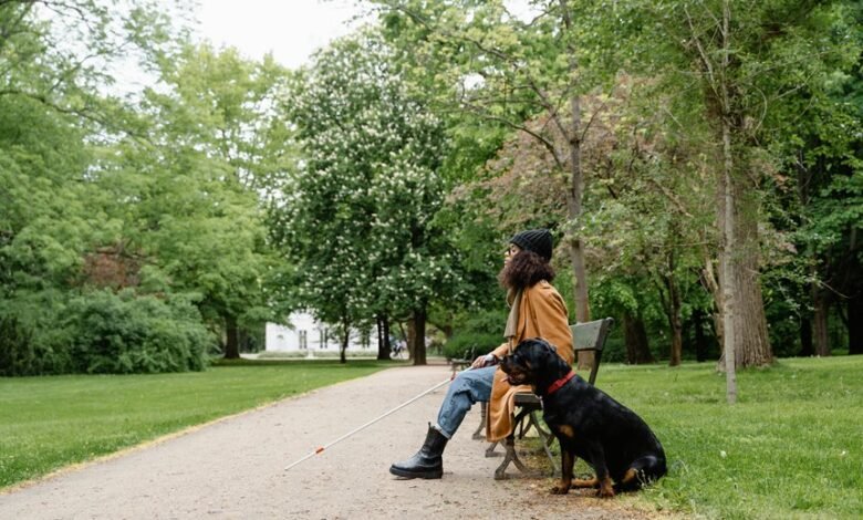 lopalapc2547 access information guide