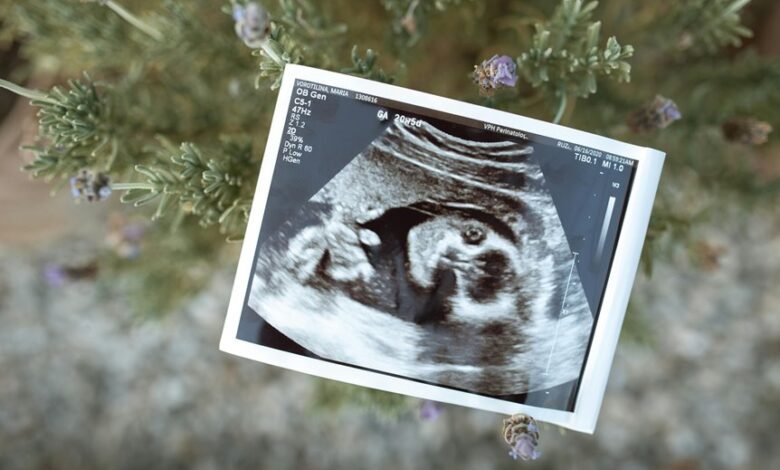 professional sector growth analysis